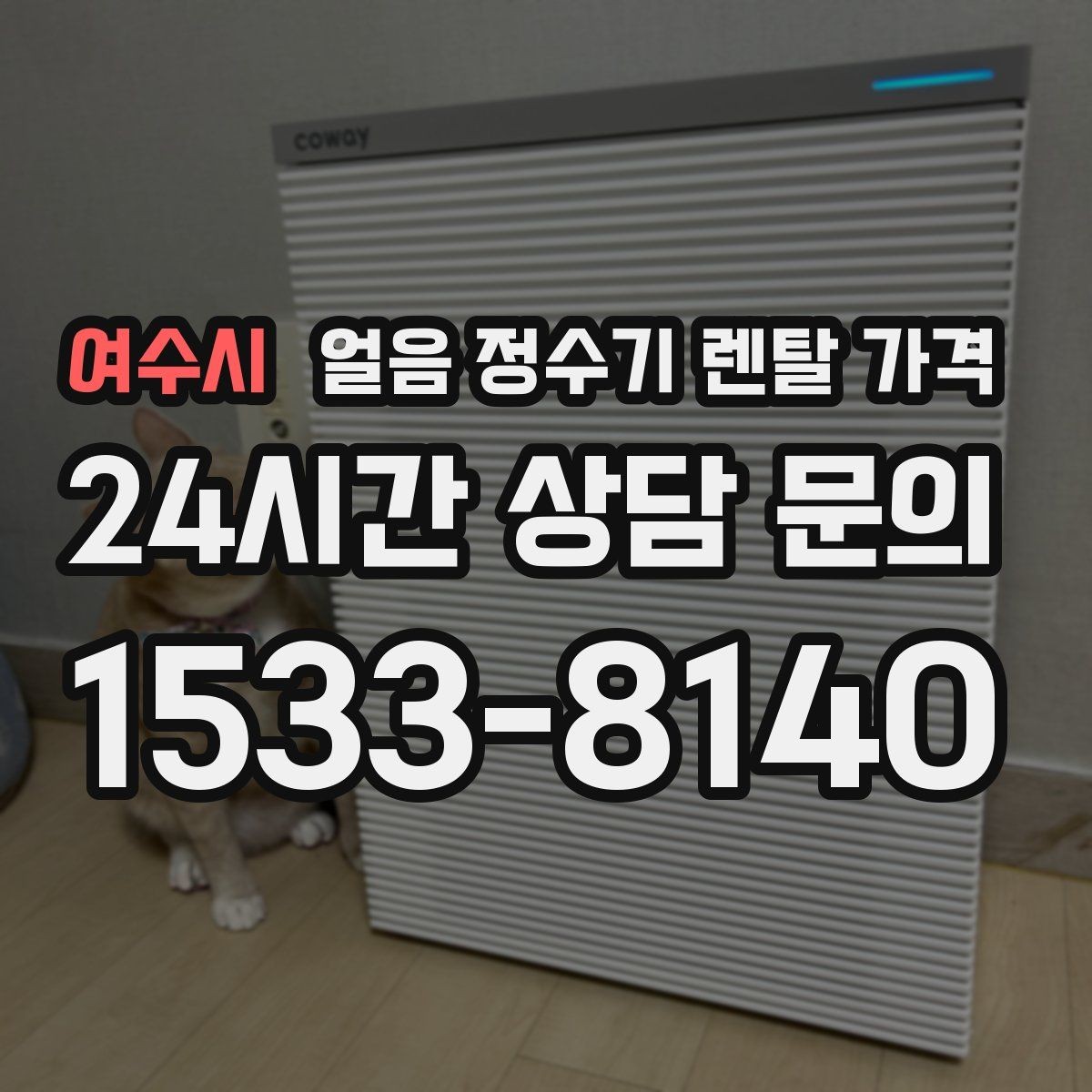 여수시 얼음 정수기 렌탈 가격 렌탈료 낮추는 현실적인 방법