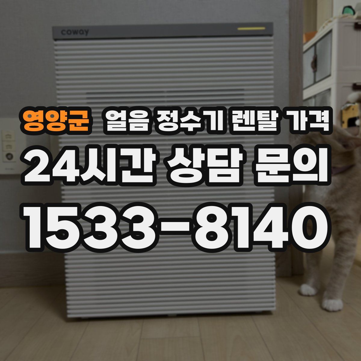 영양군 얼음 정수기 렌탈 가격