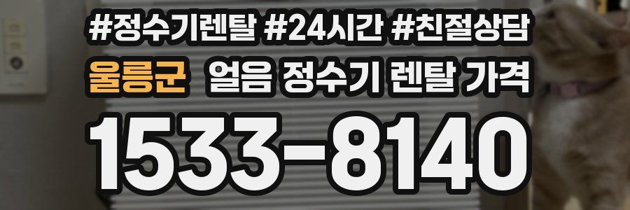 울릉군 얼음 정수기 렌탈 가격