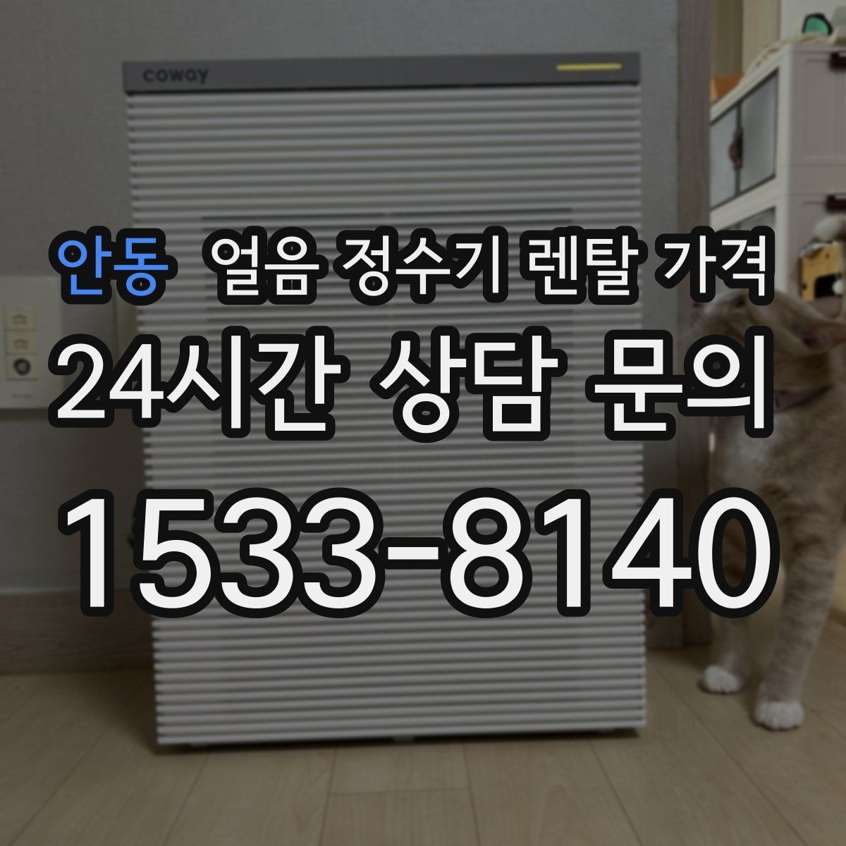 안동 얼음 정수기 렌탈 가격 설치 과정이 중요한 이유