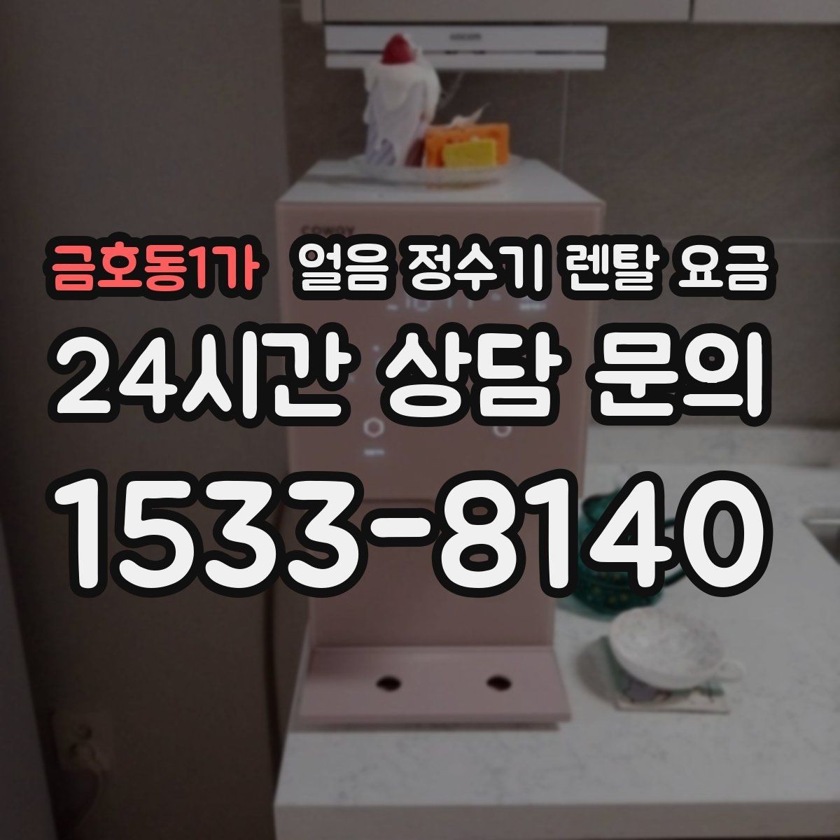 금호동1가 얼음 정수기 렌탈 요금 얼음 기능이 중요한 집의 특징
