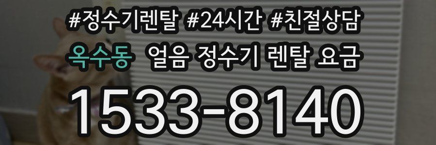 옥수동 얼음 정수기 렌탈 요금