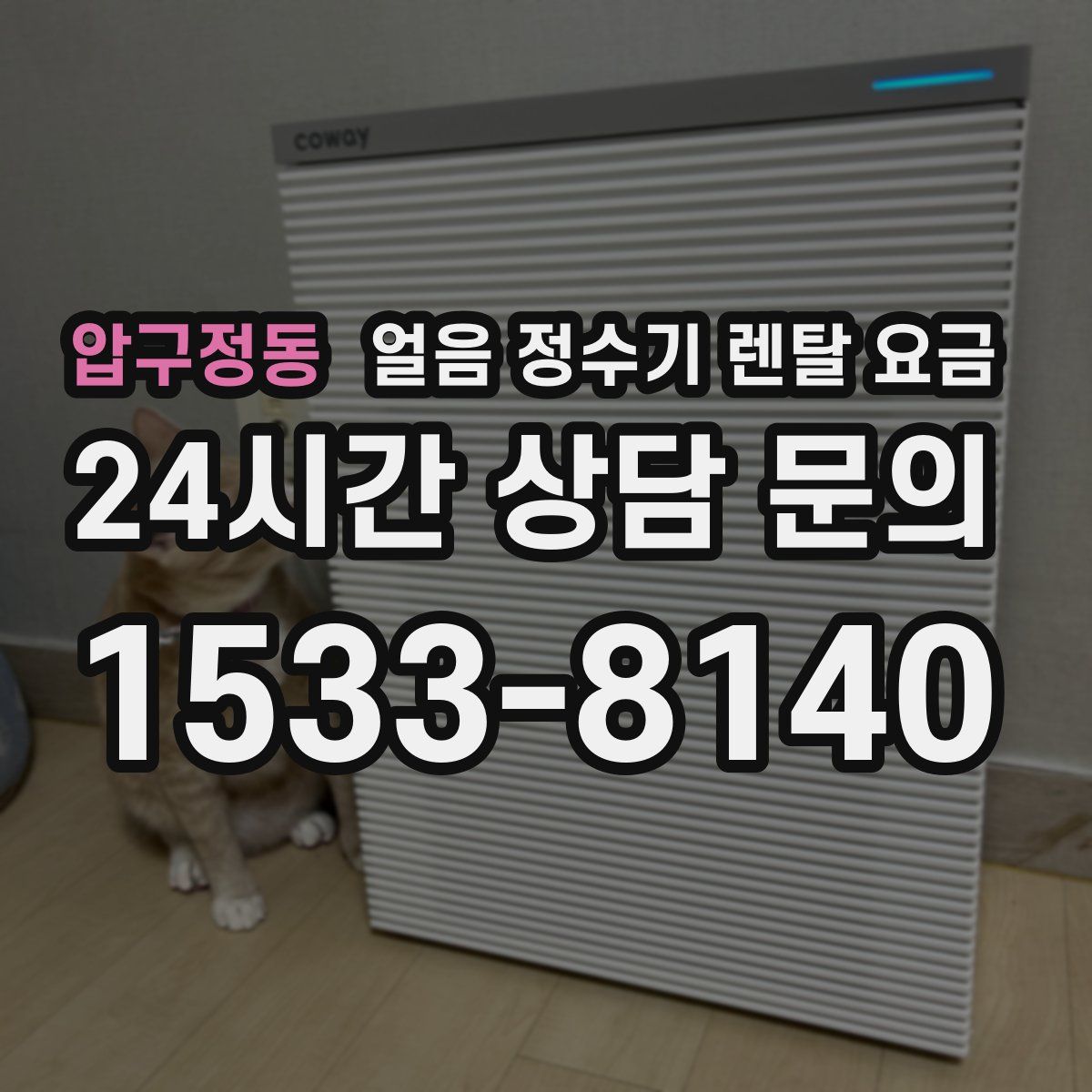 압구정동 얼음 정수기 렌탈 요금