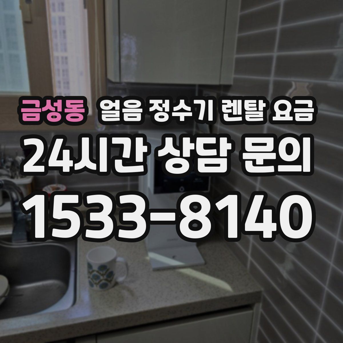 금성동 얼음 정수기 렌탈 요금