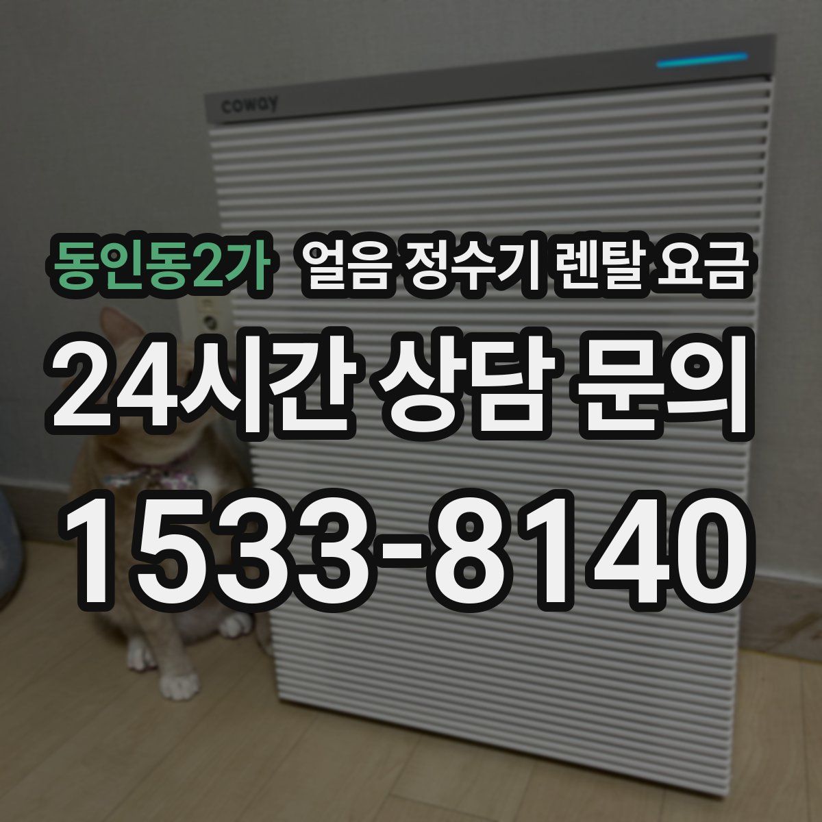 동인동2가 얼음 정수기 렌탈 요금