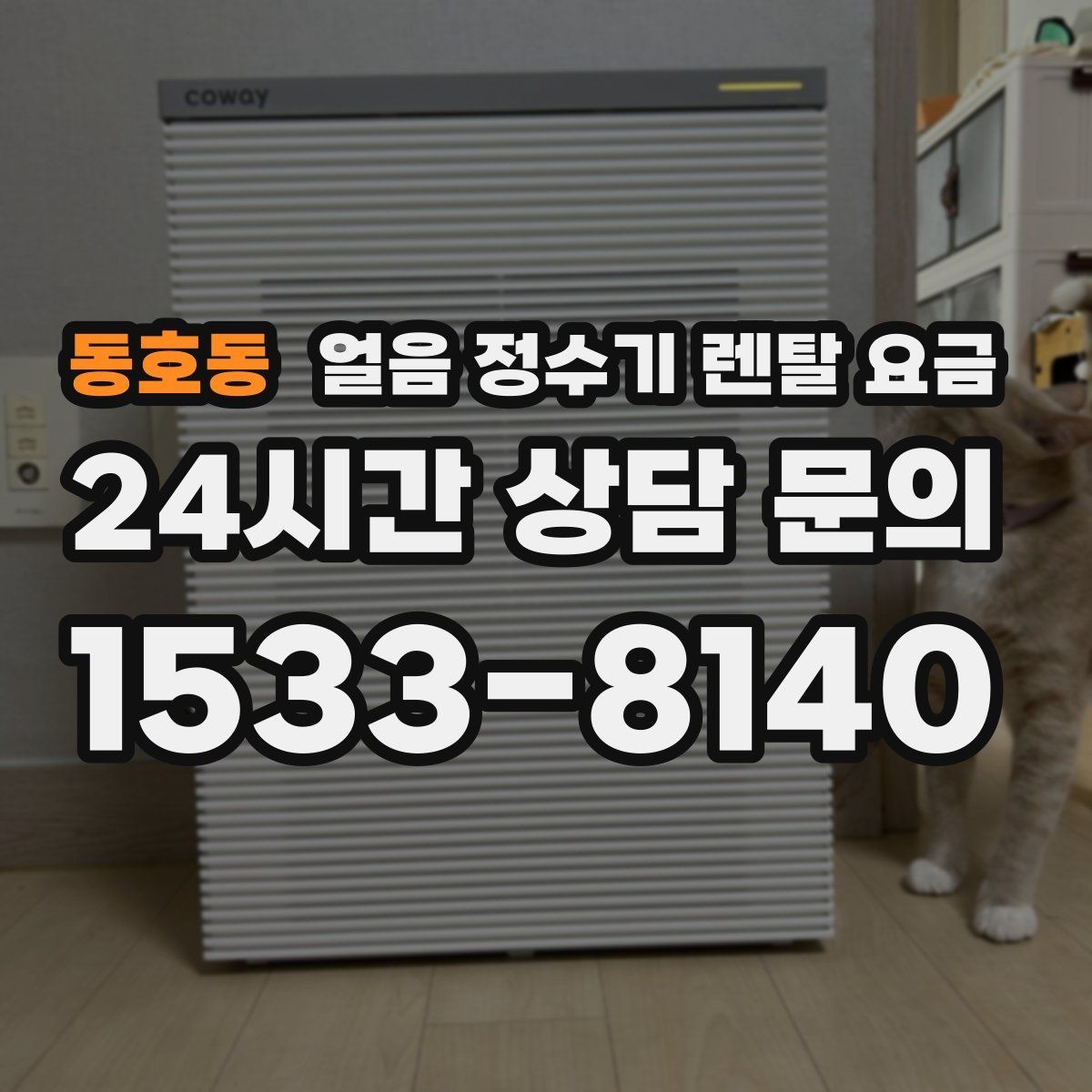 동호동 얼음 정수기 렌탈 요금 위생과 편의성 함께 보는 방법