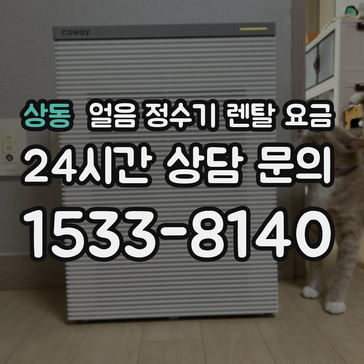 상동 얼음 정수기 렌탈 요금