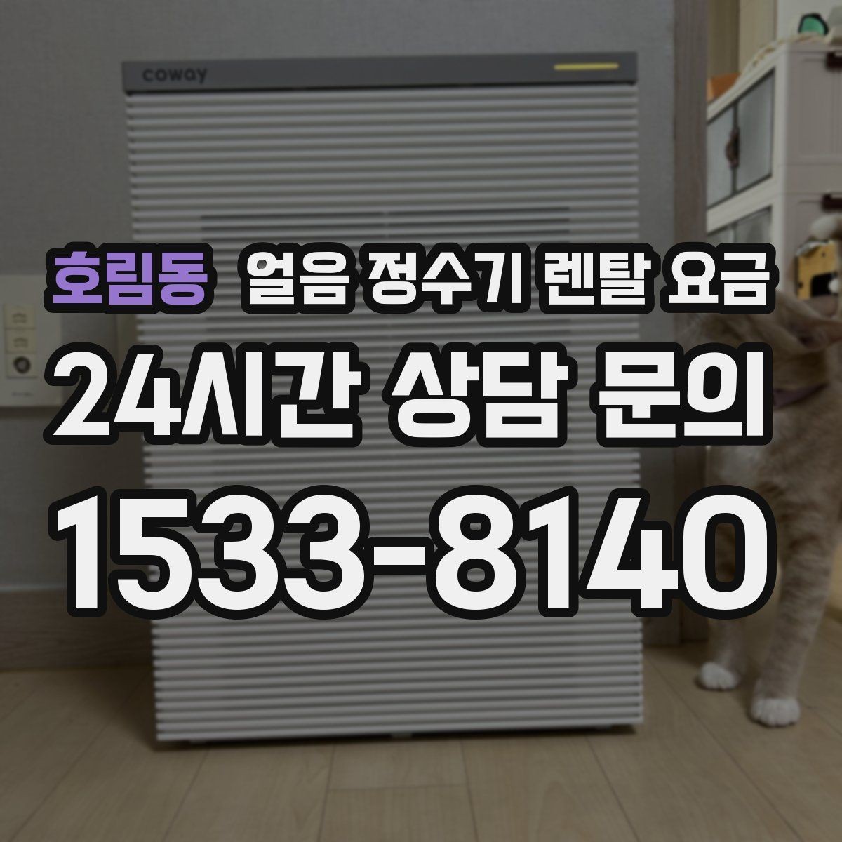 호림동 얼음 정수기 렌탈 요금 실제 사용자 경험 기준 정리
