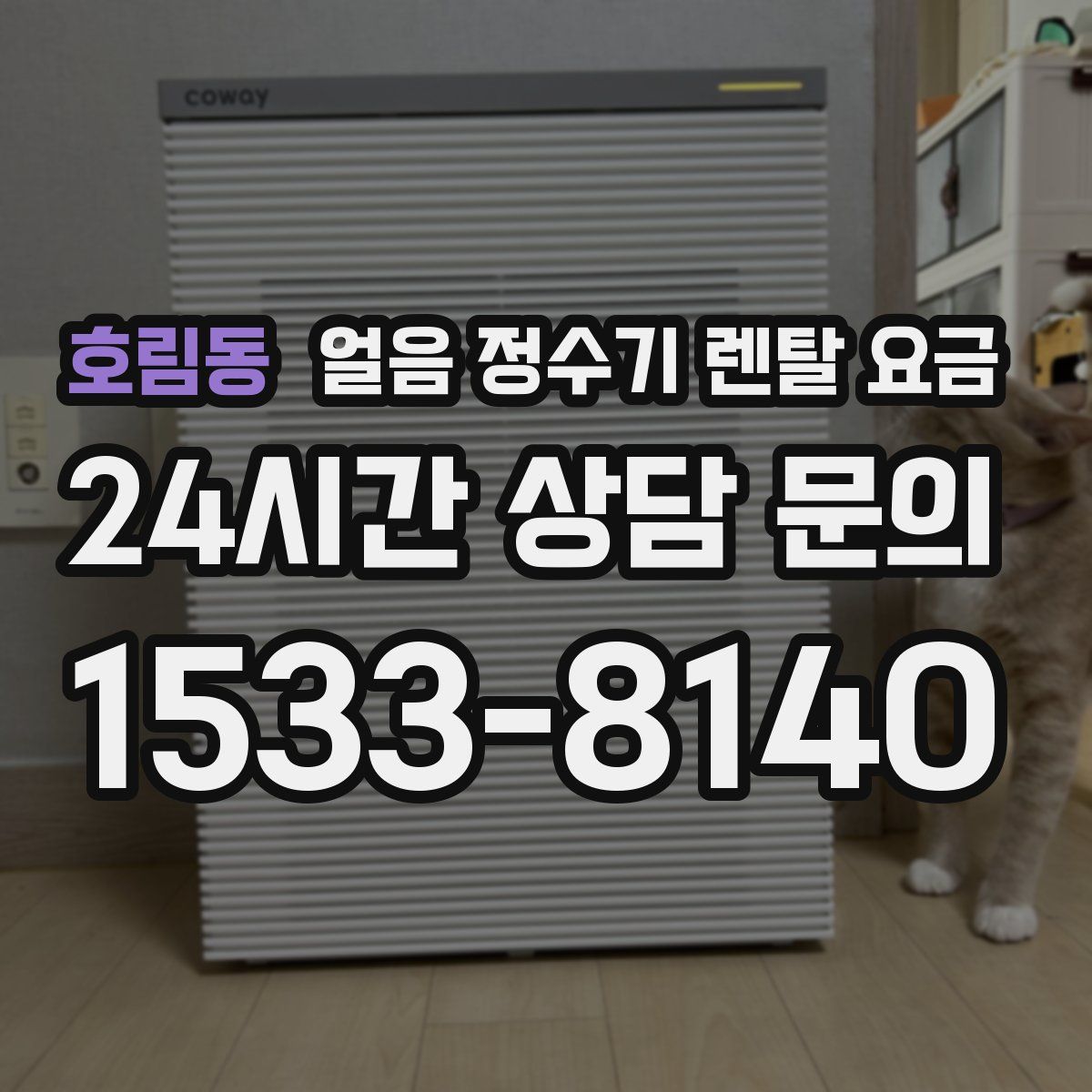 호림동 얼음 정수기 렌탈 요금