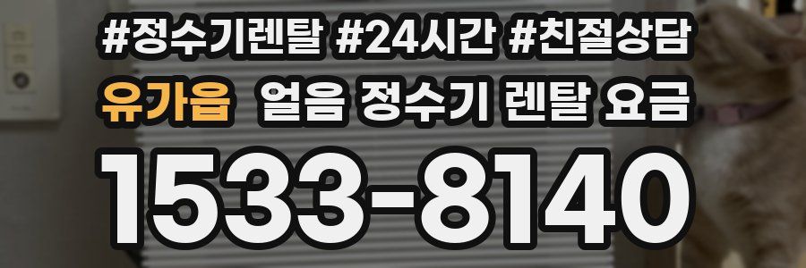 유가읍 얼음 정수기 렌탈 요금