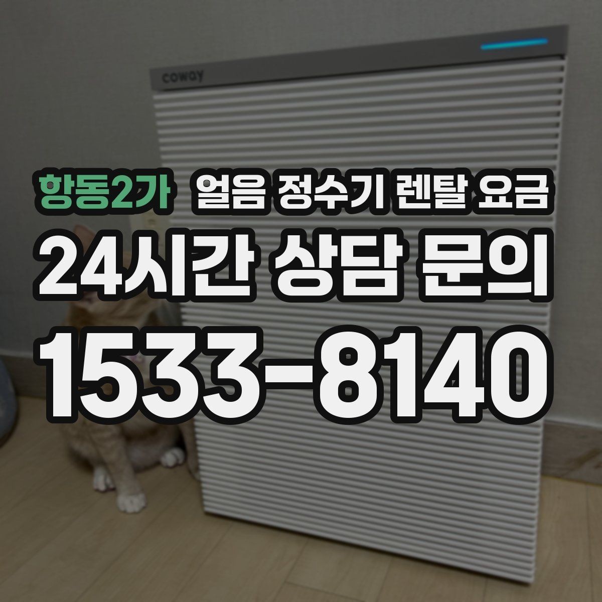 항동2가 얼음 정수기 렌탈 요금 전기료까지 고려해야 하는 이유
