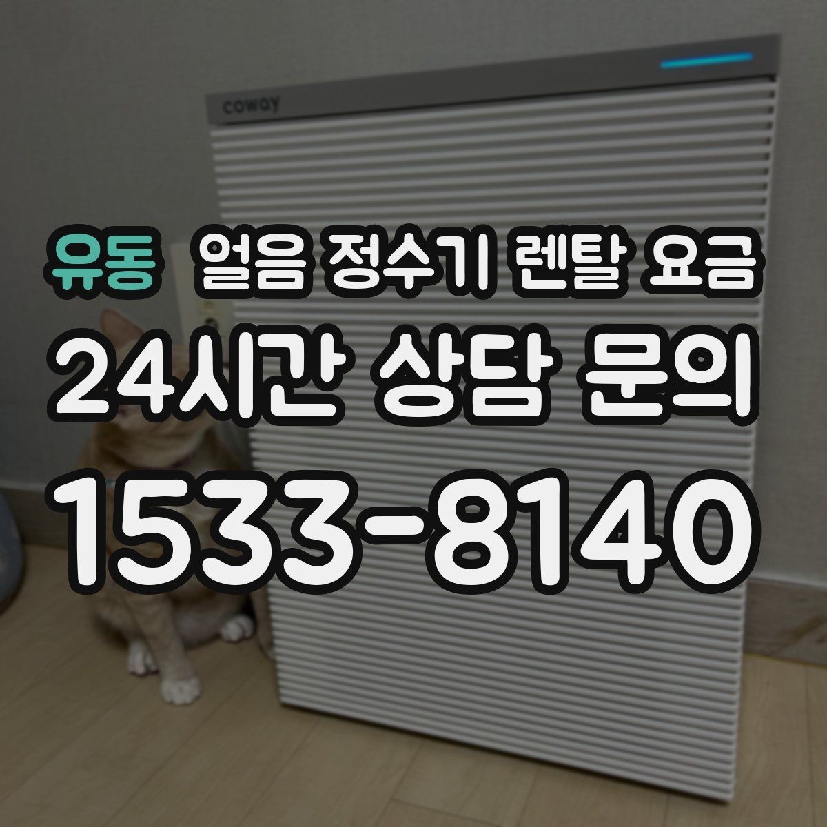 유동 얼음 정수기 렌탈 요금 설치비 포함 여부 확인하기