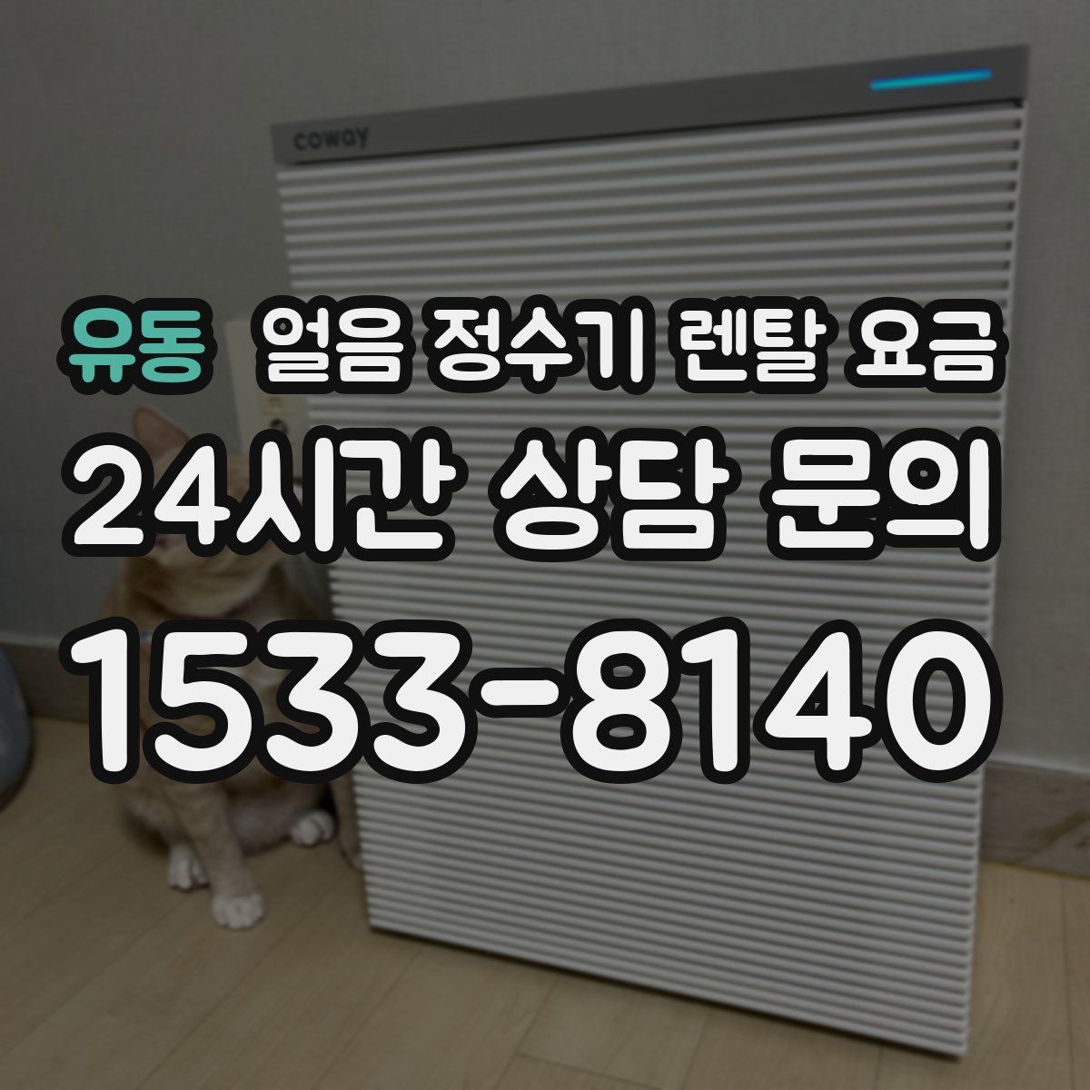 유동 얼음 정수기 렌탈 요금