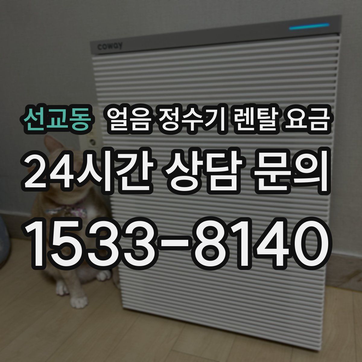 선교동 얼음 정수기 렌탈 요금