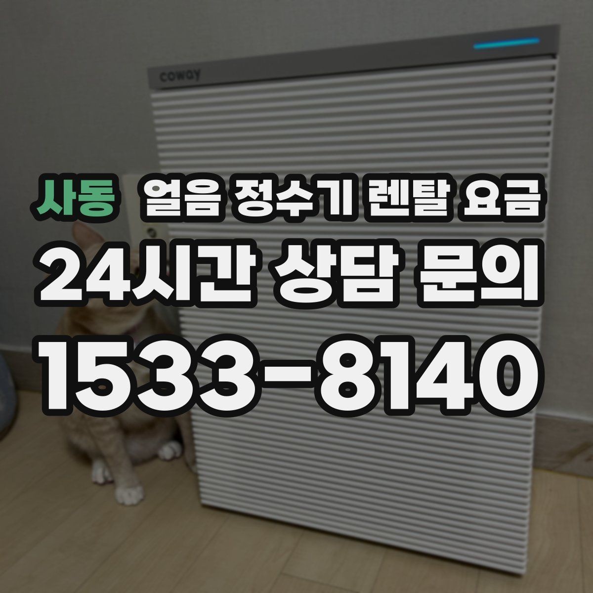 사동 얼음 정수기 렌탈 요금 계약 전 확인해야 할 질문 정리