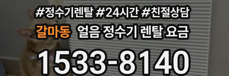 갈마동 얼음 정수기 렌탈 요금