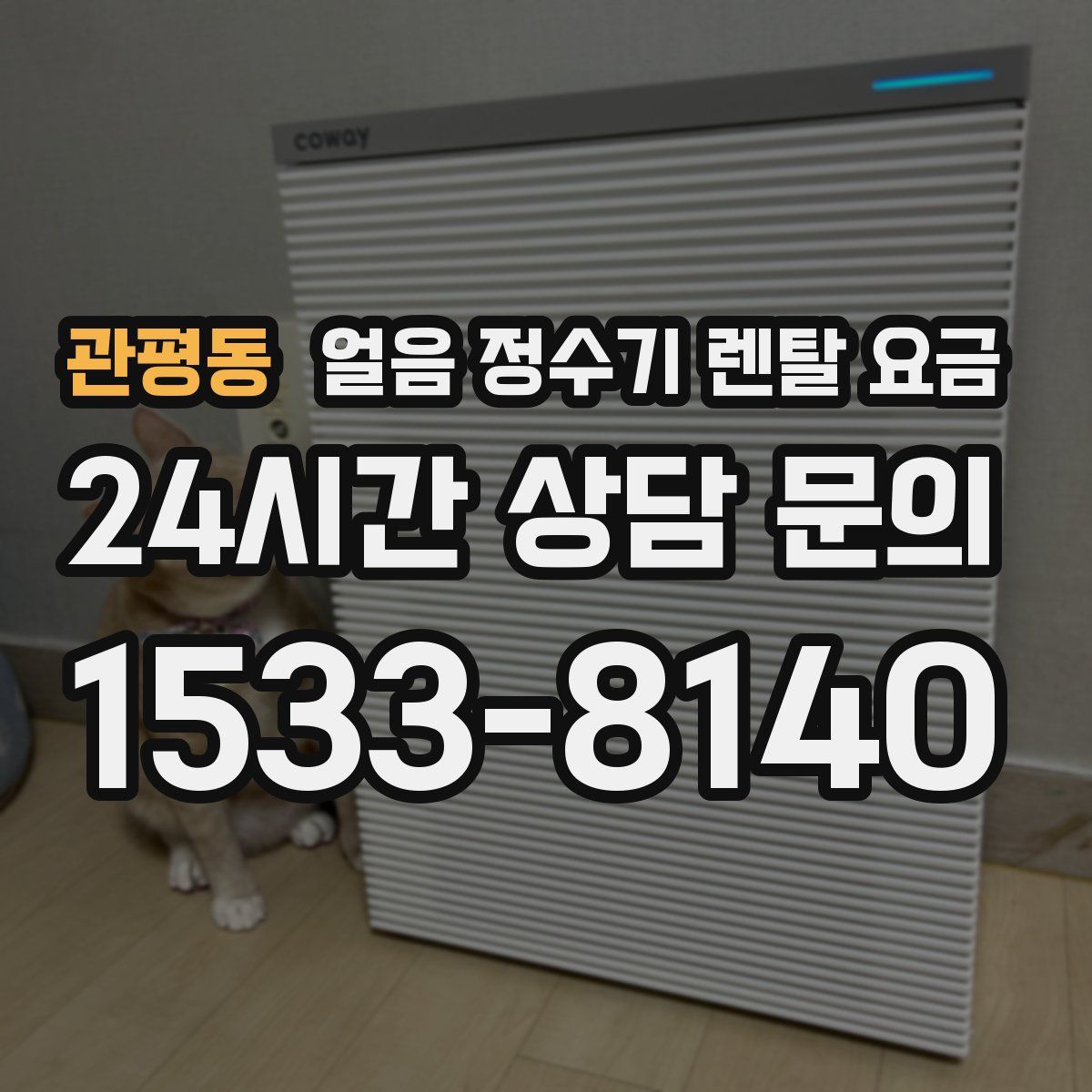 관평동 얼음 정수기 렌탈 요금