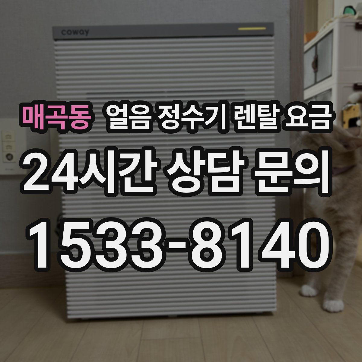 매곡동 얼음 정수기 렌탈 요금