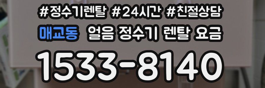 매교동 얼음 정수기 렌탈 요금