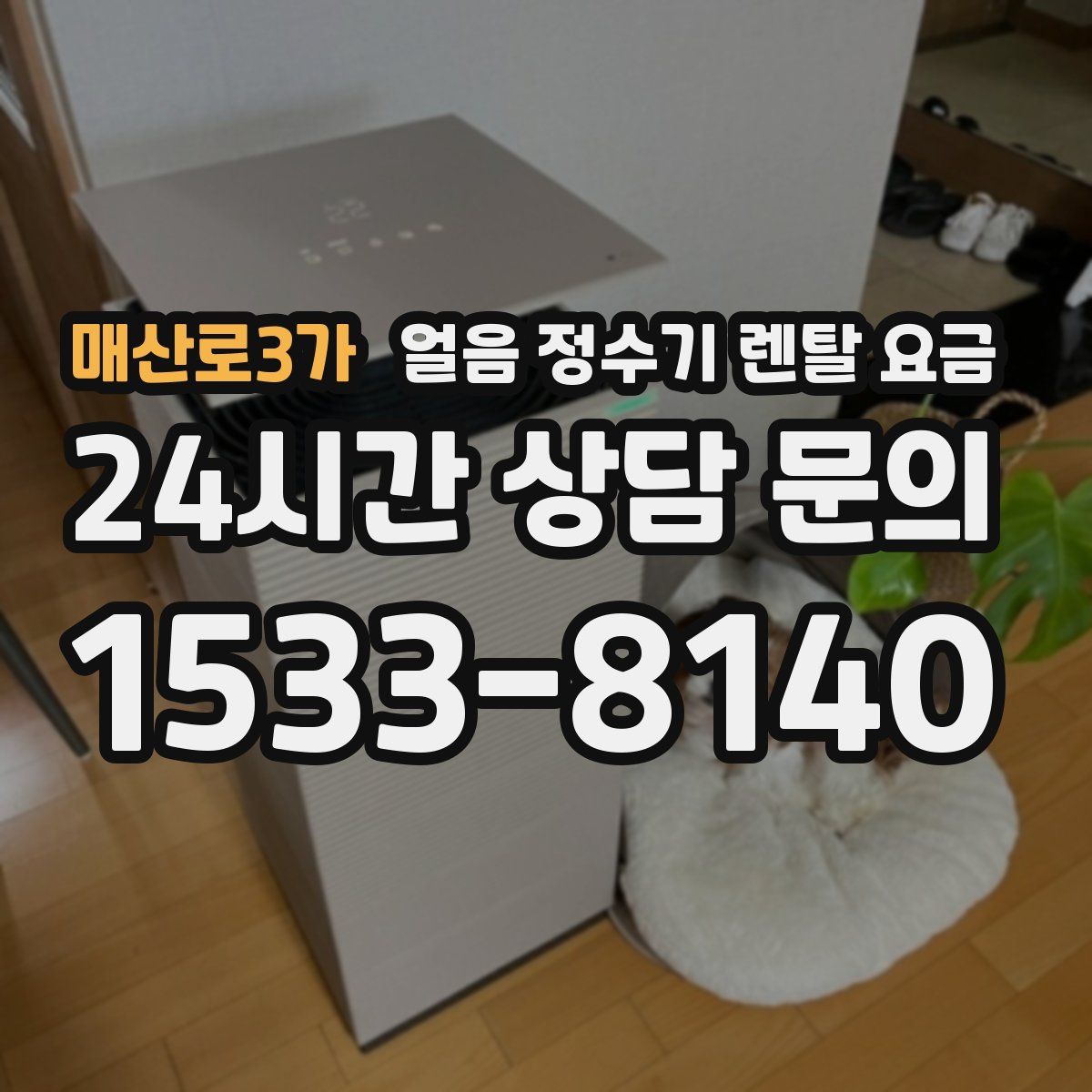 매산로3가 얼음 정수기 렌탈 요금