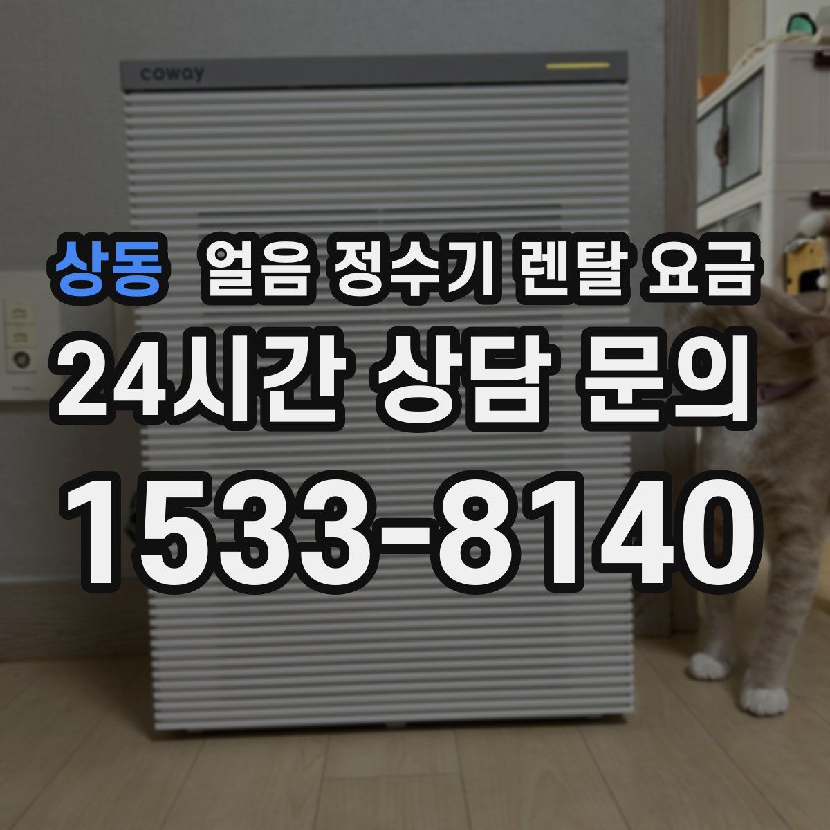 상동 얼음 정수기 렌탈 요금