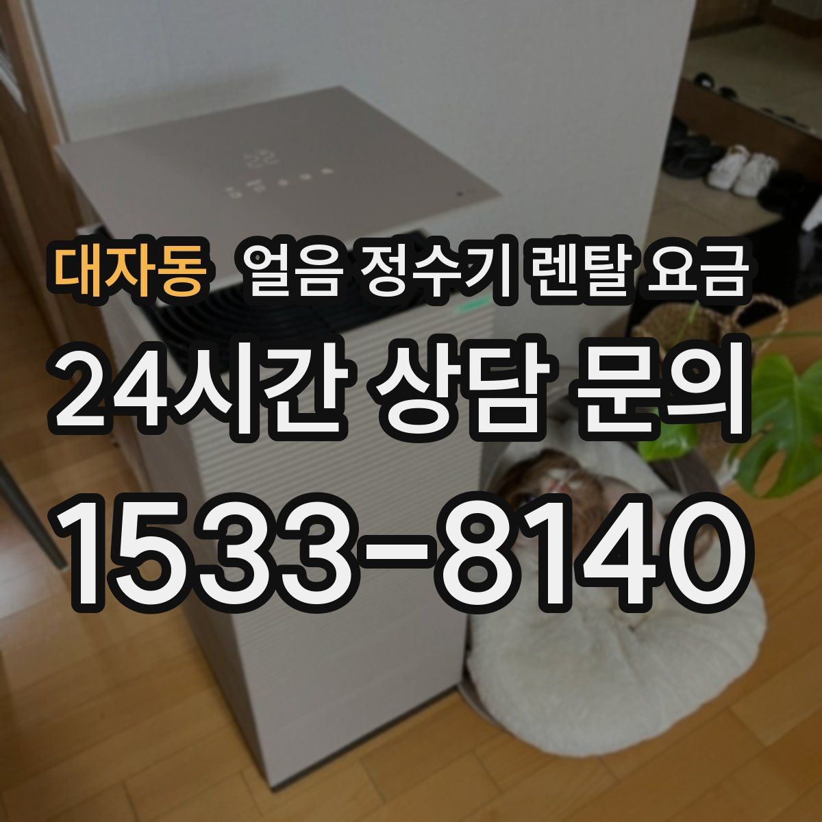 대자동 얼음 정수기 렌탈 요금