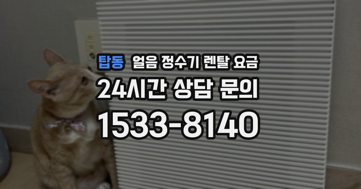 탑동 얼음 정수기 렌탈 요금