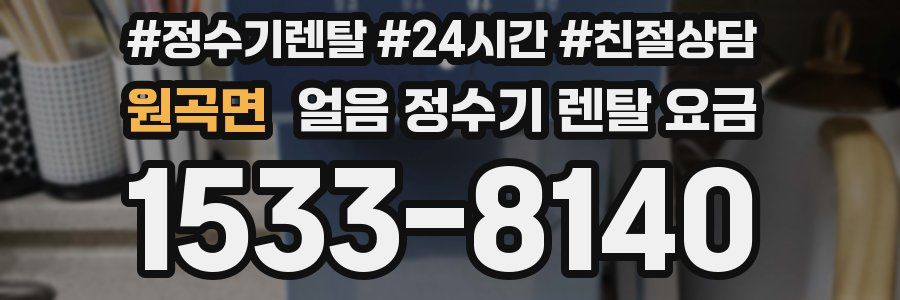 원곡면 얼음 정수기 렌탈 요금