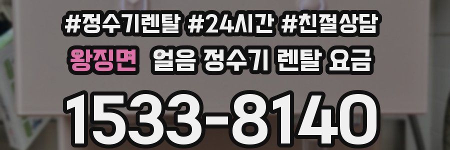 왕징면 얼음 정수기 렌탈 요금