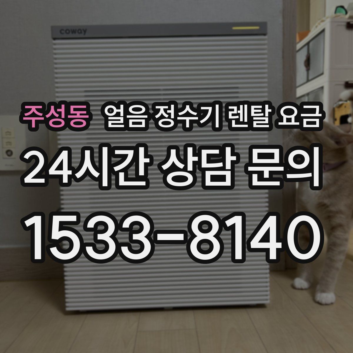 주성동 얼음 정수기 렌탈 요금