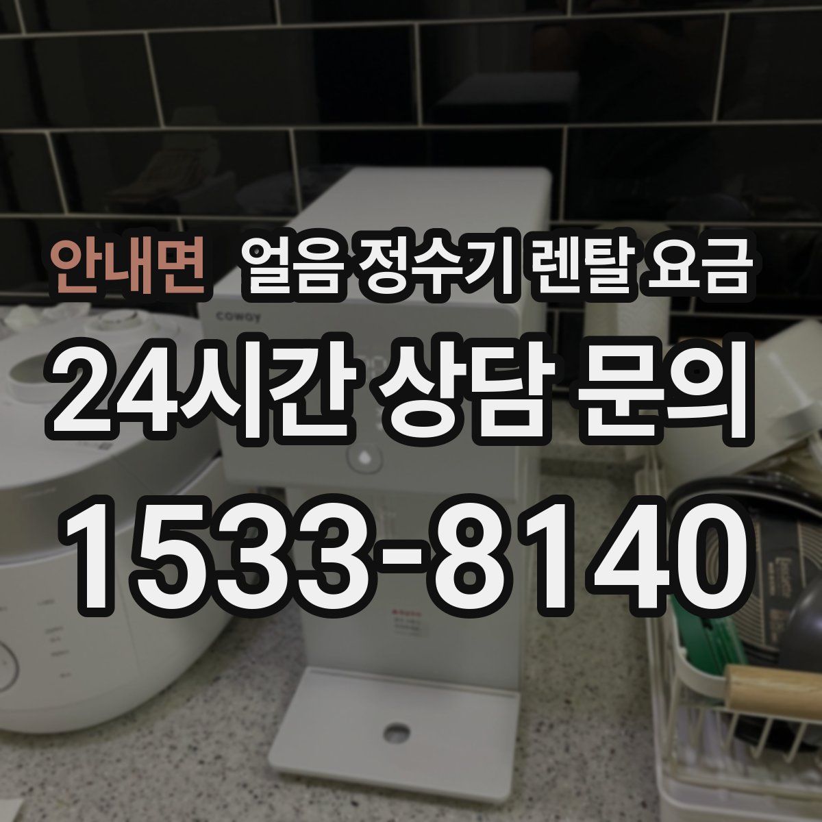 안내면 얼음 정수기 렌탈 요금