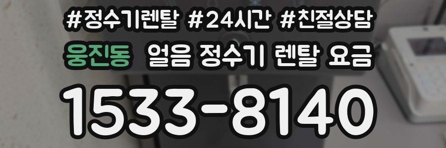 웅진동 얼음 정수기 렌탈 요금