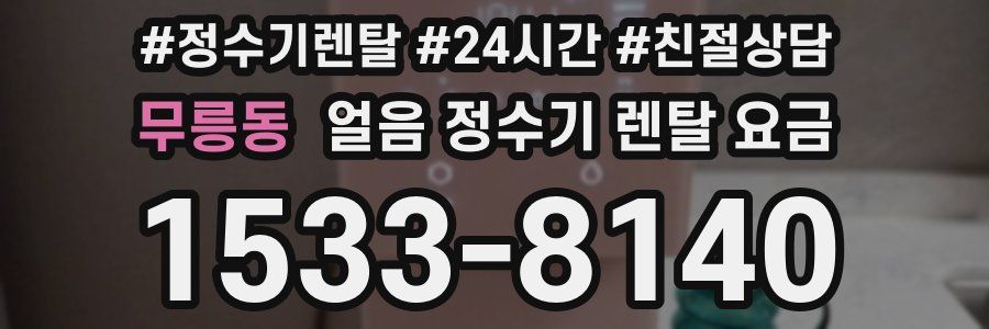 무릉동 얼음 정수기 렌탈 요금