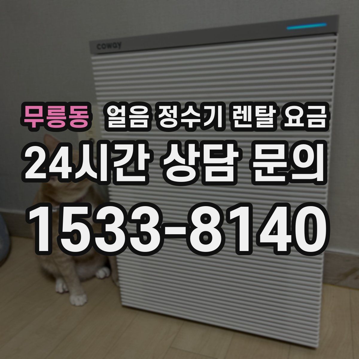 무릉동 얼음 정수기 렌탈 요금