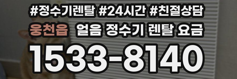 웅천읍 얼음 정수기 렌탈 요금