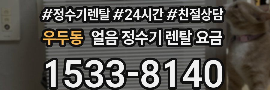우두동 얼음 정수기 렌탈 요금