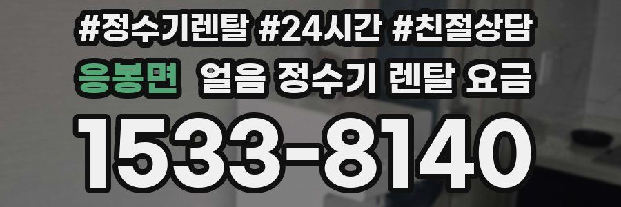 응봉면 얼음 정수기 렌탈 요금