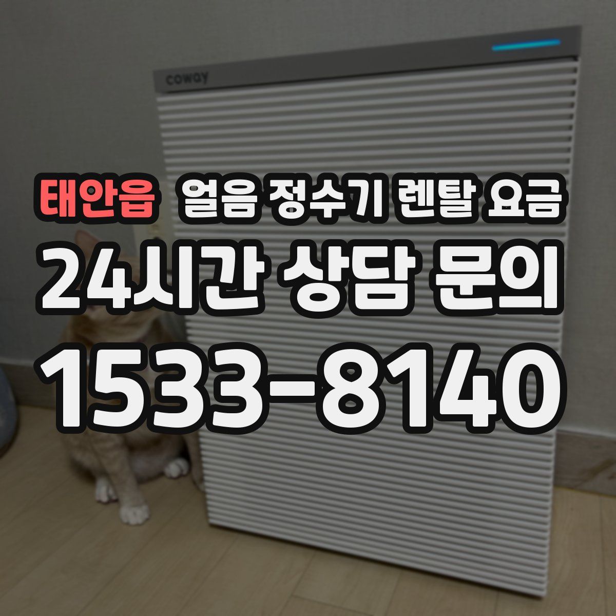 태안읍 얼음 정수기 렌탈 요금