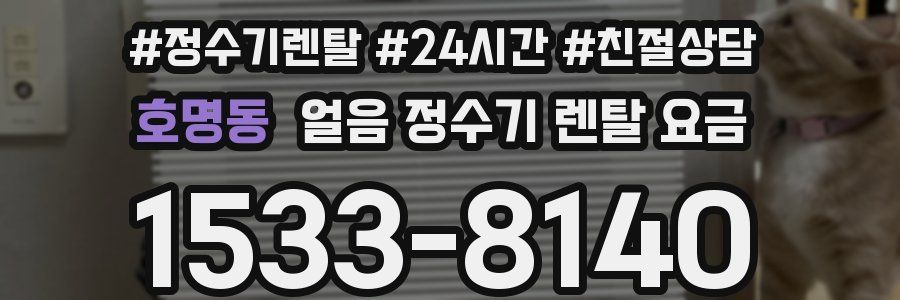 호명동 얼음 정수기 렌탈 요금