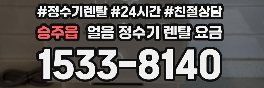 승주읍 얼음 정수기 렌탈 요금