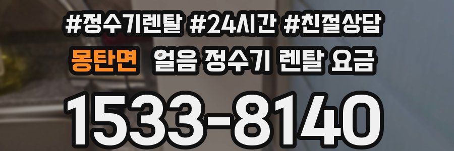 몽탄면 얼음 정수기 렌탈 요금