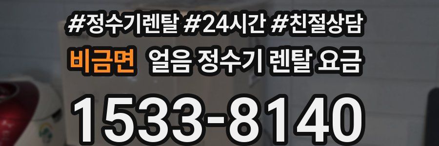 비금면 얼음 정수기 렌탈 요금