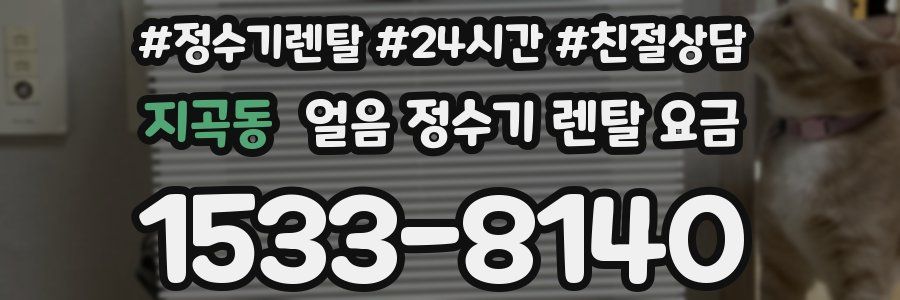 지곡동 얼음 정수기 렌탈 요금