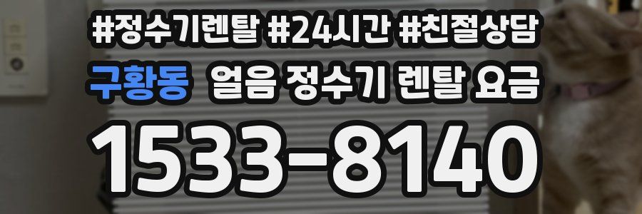 구황동 얼음 정수기 렌탈 요금