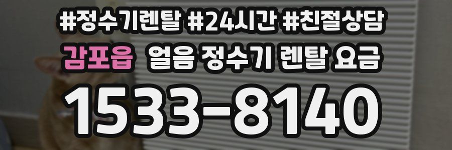 감포읍 얼음 정수기 렌탈 요금