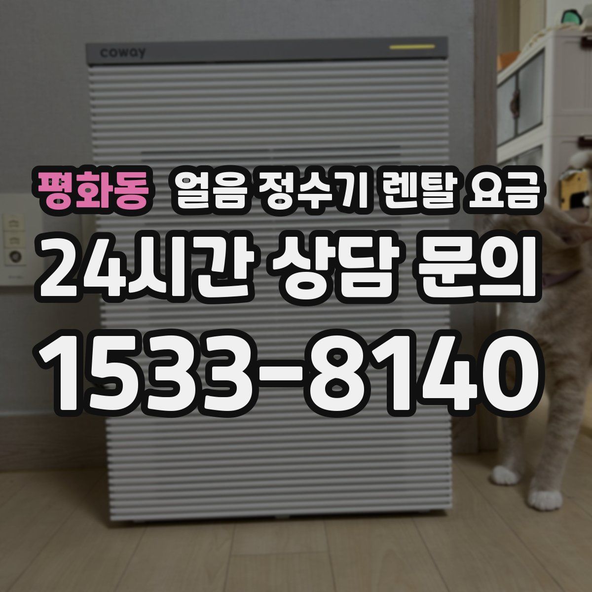 평화동 얼음 정수기 렌탈 요금