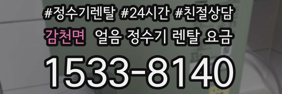 감천면 얼음 정수기 렌탈 요금