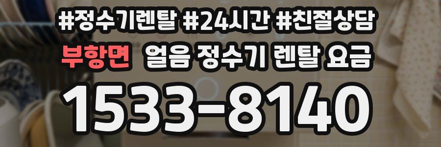 부항면 얼음 정수기 렌탈 요금