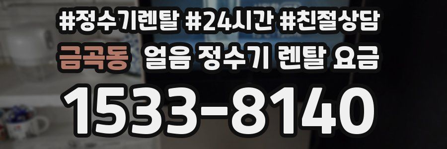 금곡동 얼음 정수기 렌탈 요금