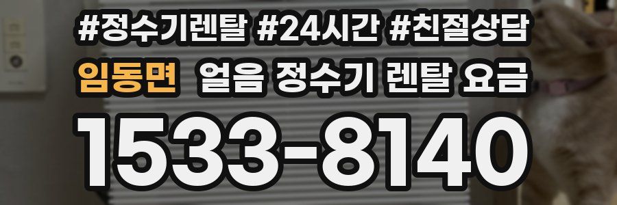 임동면 얼음 정수기 렌탈 요금